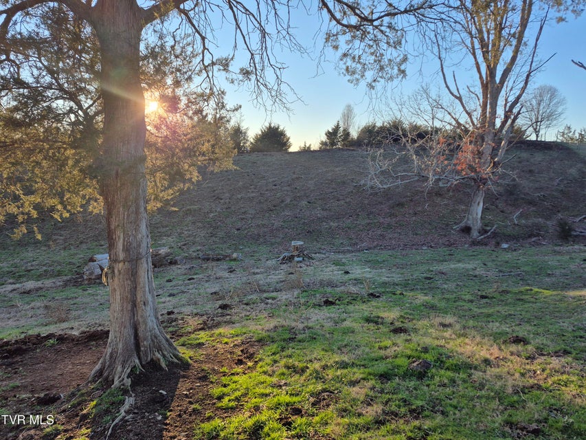 Photo #4: 00 Cw Kite Ln 