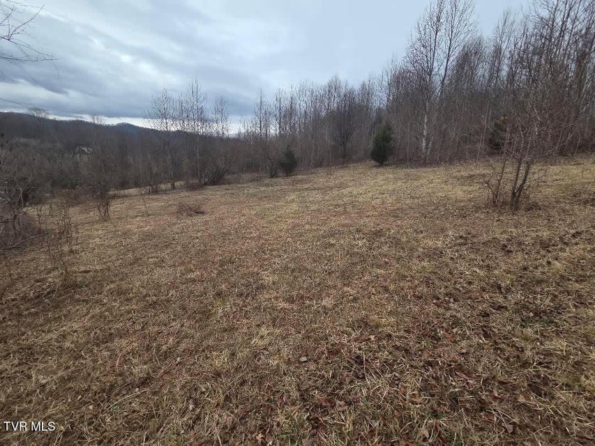 Photo #16: Tbd Lot 4 Sunny Lane