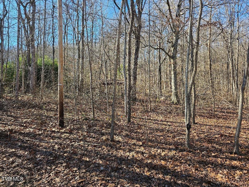 Photo #4: 00 Luguna Road