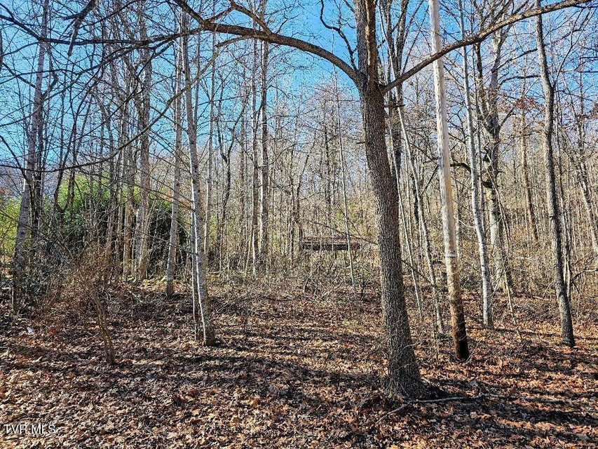 Photo #5: 00 Luguna Road