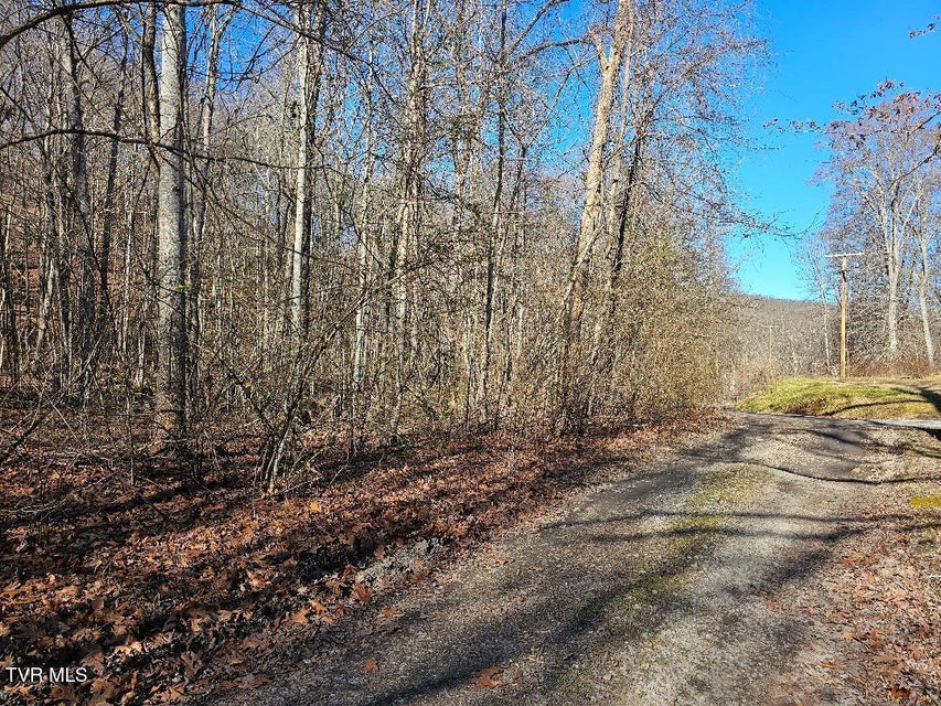 Photo #6: 00 Luguna Road