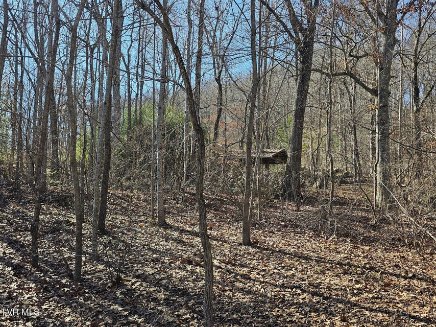 Photo #7: 00 Luguna Road