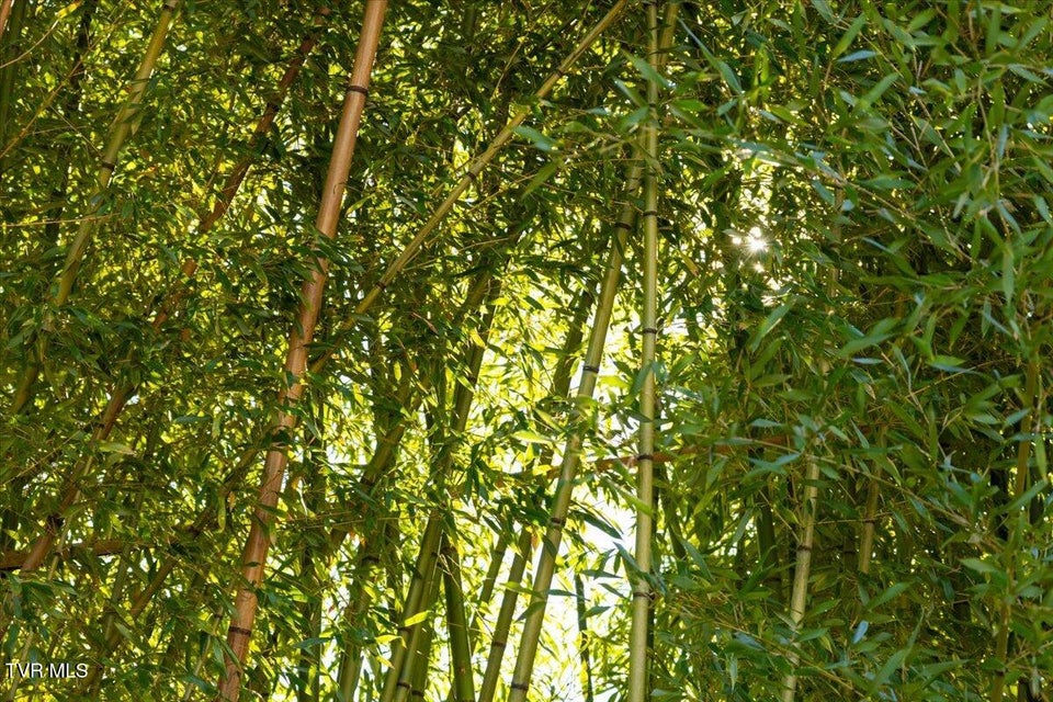 Photo #47: 704 River Road