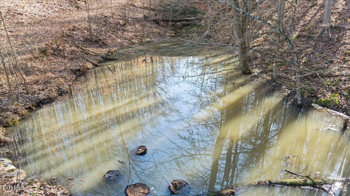 Photo #54: 704 River Road