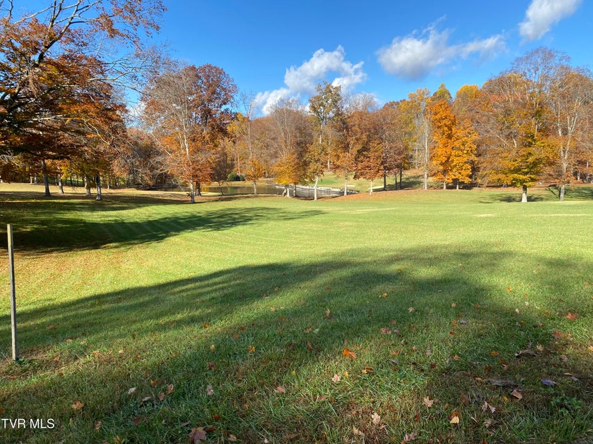 Photo #7: Lot 21&22 Chimney Top Lane