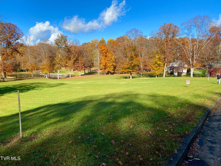 Photo #8: Lot 21&22 Chimney Top Lane