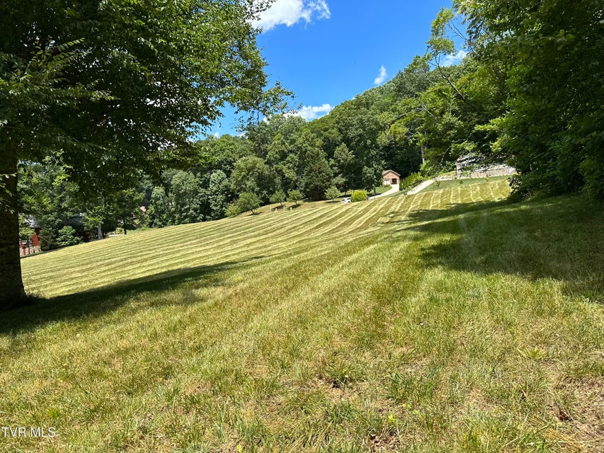 Photo #4: Lot 21&22 Chimney Top Lane