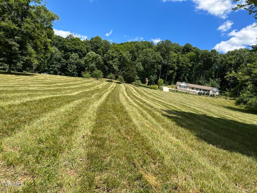 Photo #5: Lot 21&22 Chimney Top Lane