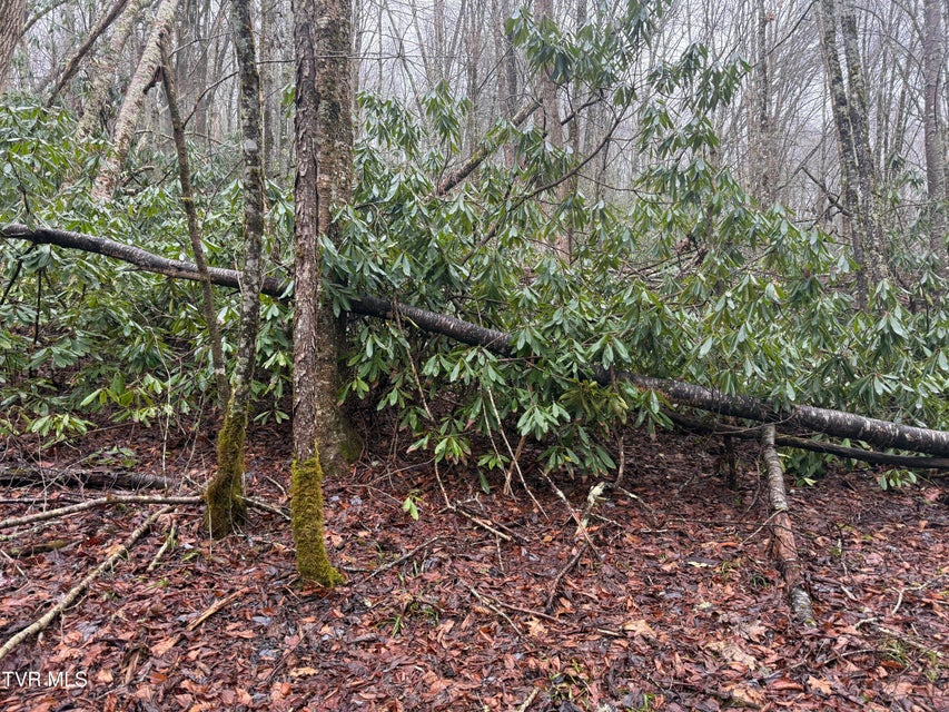 Photo #5: Tbd Stocton Road