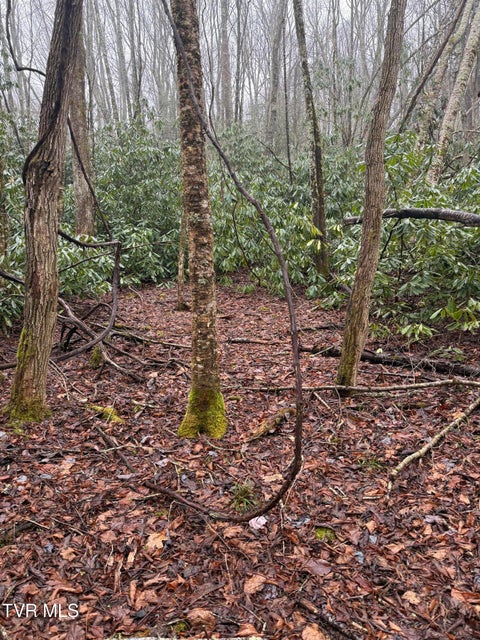 Photo #4: Tbd Stocton Road