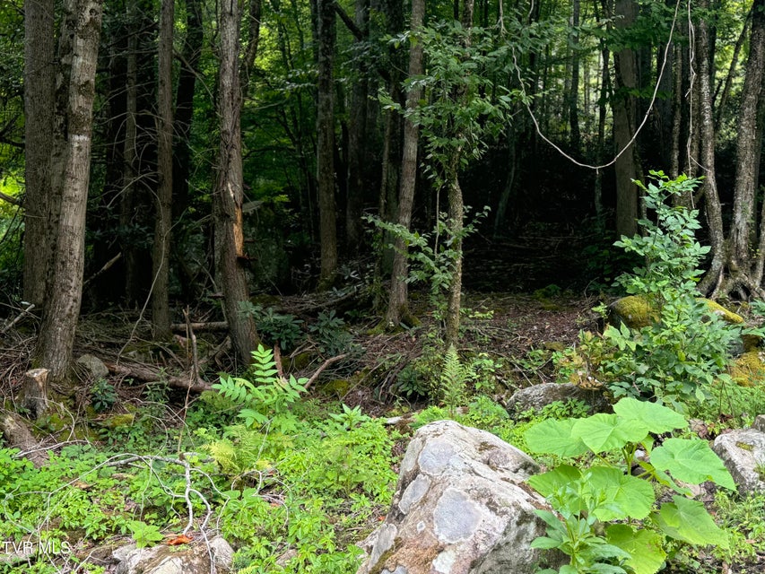 Photo #7: Tbd Stocton Road