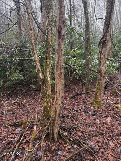 Photo #3: Tbd Stocton Road