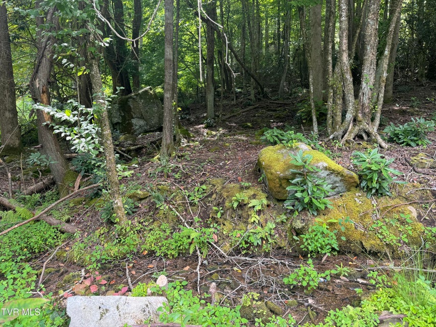 Photo #6: Tbd Stocton Road