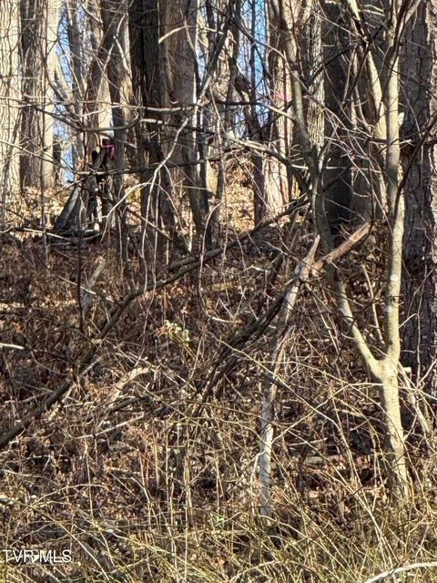 Photo #9: Tbd Stocton Road