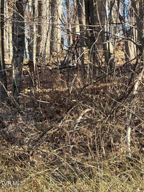 Photo #10: Tbd Stocton Road