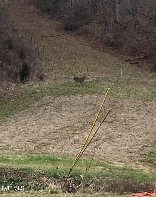 Photo #56: 177 Helton Hollow Rd Road
