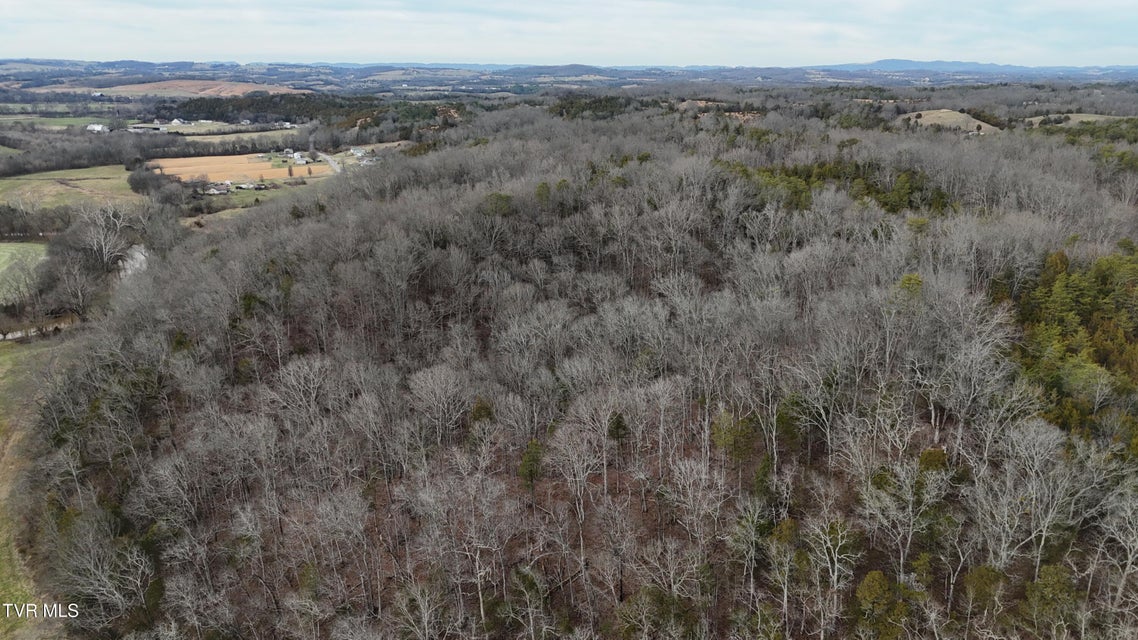 Photo #44: 2105 Flea Ridge Road