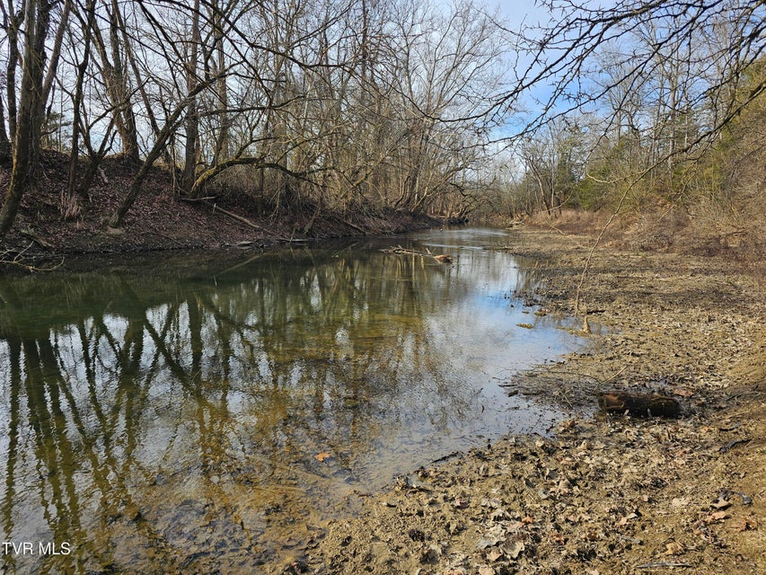 Photo #29: 2105 Flea Ridge Road