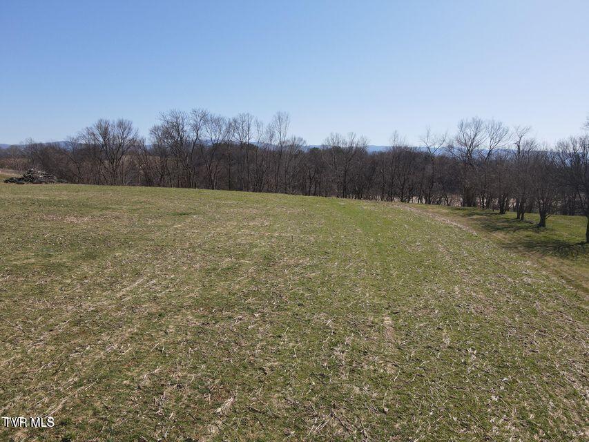 Photo #33: Tbd Lot 1 River Village Ln 