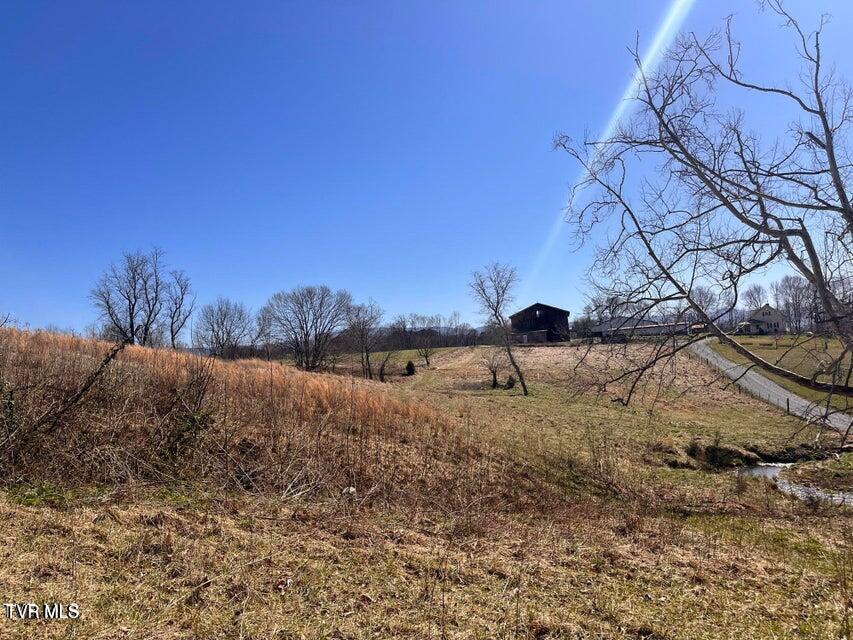 Photo #44: Tbd Lot 1 River Village Ln 