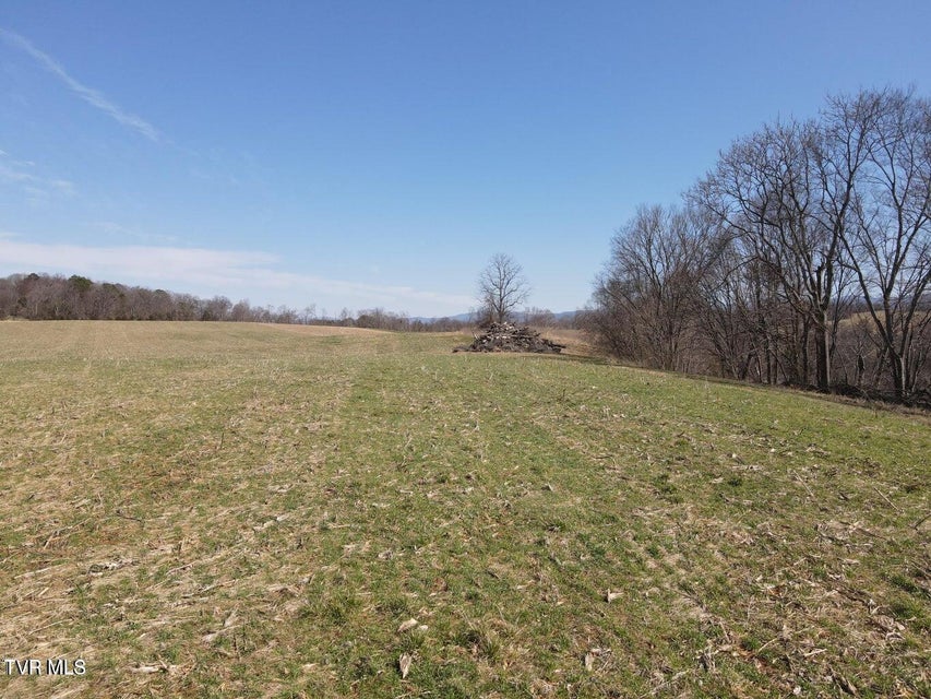 Photo #2: Tbd Lot 2 River Village Ln 