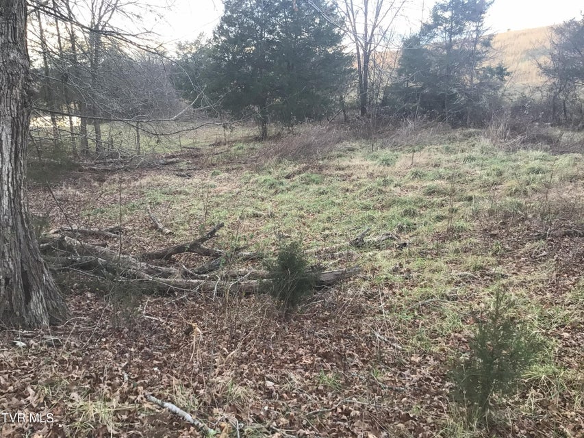 Photo #7: 925 Collins Road