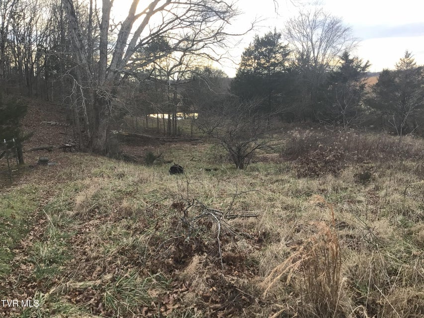 Photo #8: 925 Collins Road