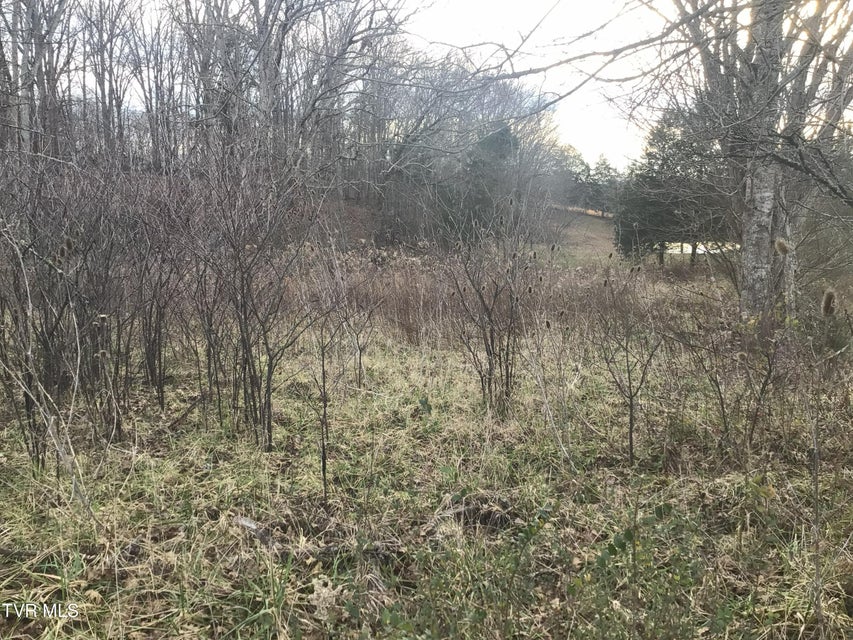 Photo #9: 925 Collins Road