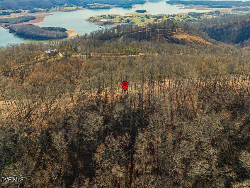 Photo #3: 141 Chelaque Way