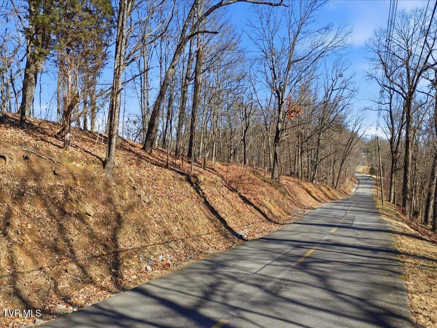 Photo #4: 141 Chelaque Way