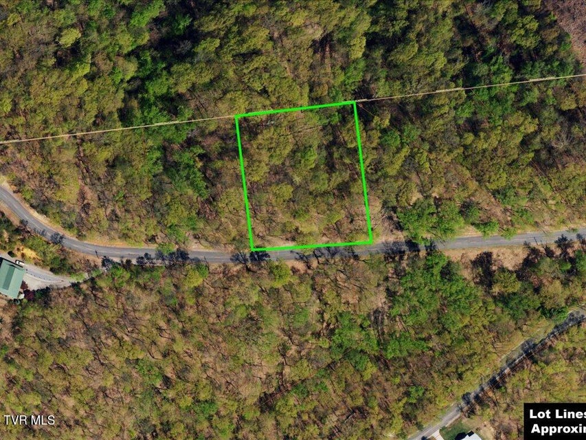 Photo #5: 141 Chelaque Way