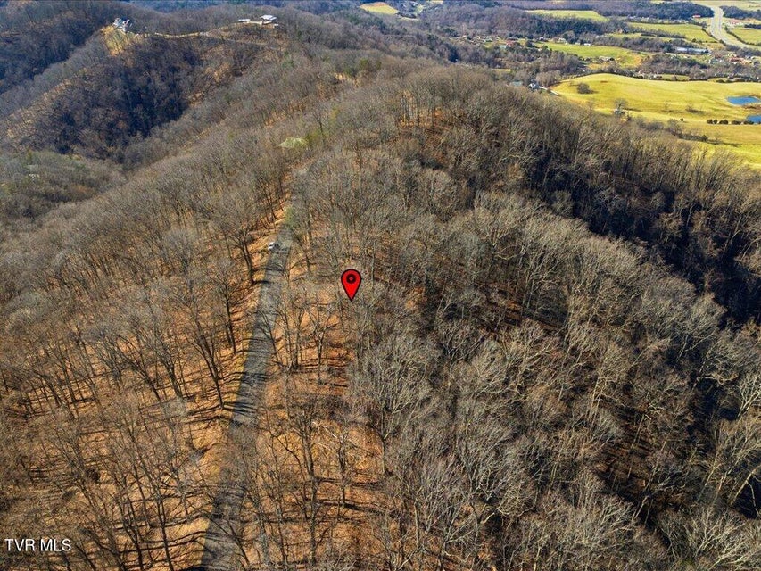 Photo #8: 141 Chelaque Way