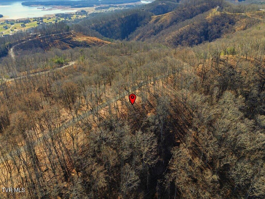 Photo #9: 141 Chelaque Way