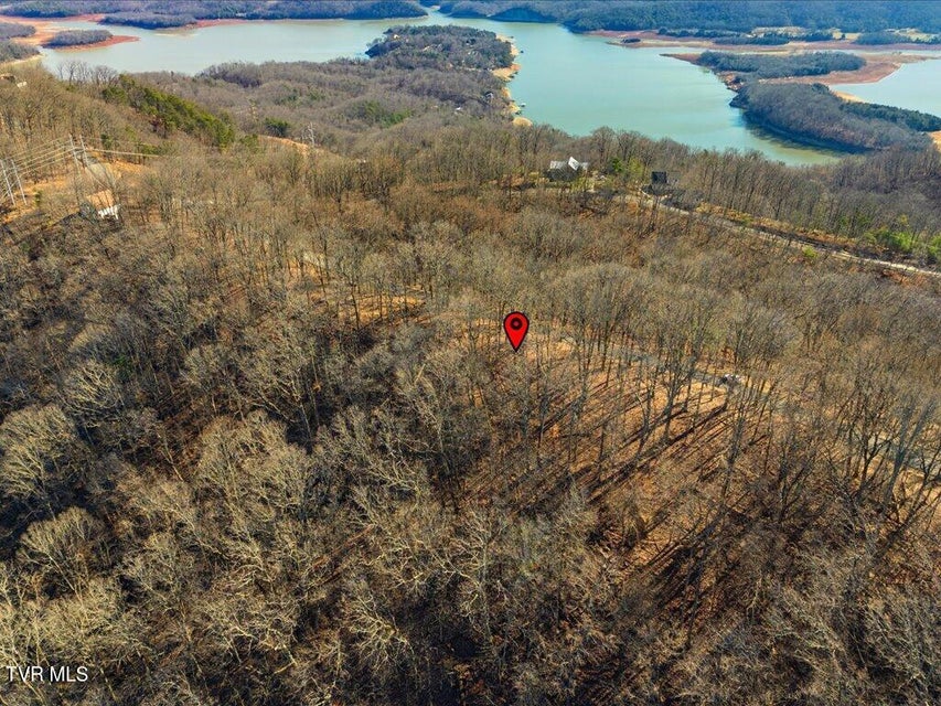 Photo #10: 141 Chelaque Way