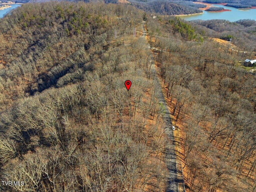 Photo #11: 141 Chelaque Way