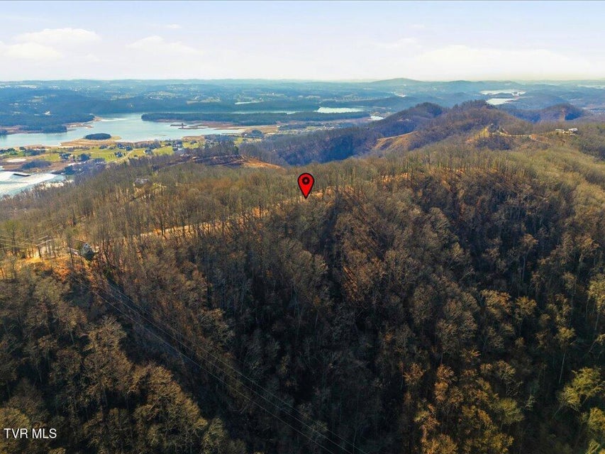 Photo #16: 141 Chelaque Way