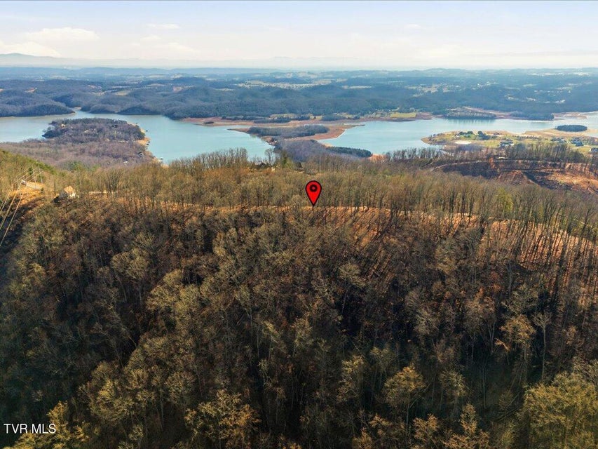 Photo #18: 141 Chelaque Way