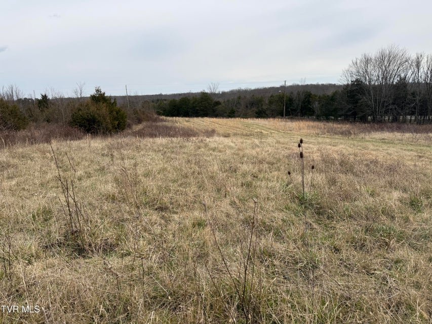 Photo #4: Tbd Bernard Road