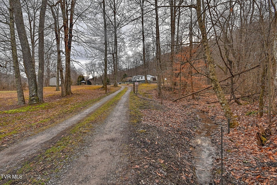 Photo #5: 190 Cactus Drive