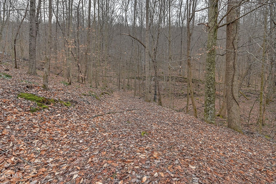 Photo #53: 190 Cactus Drive