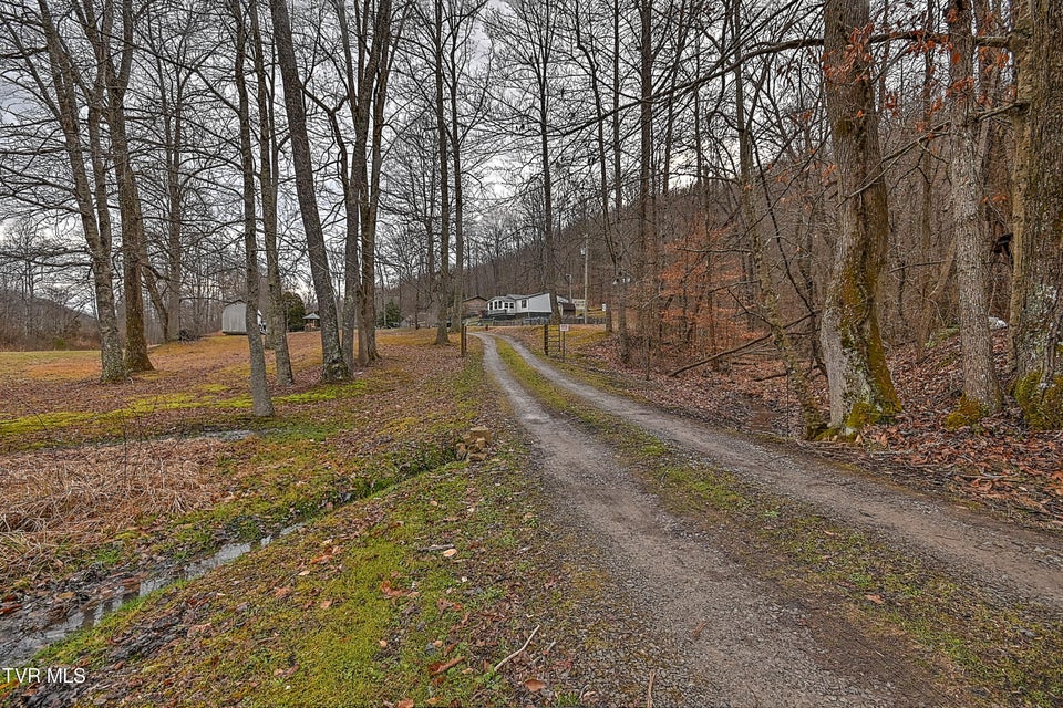 Photo #56: 190 Cactus Drive