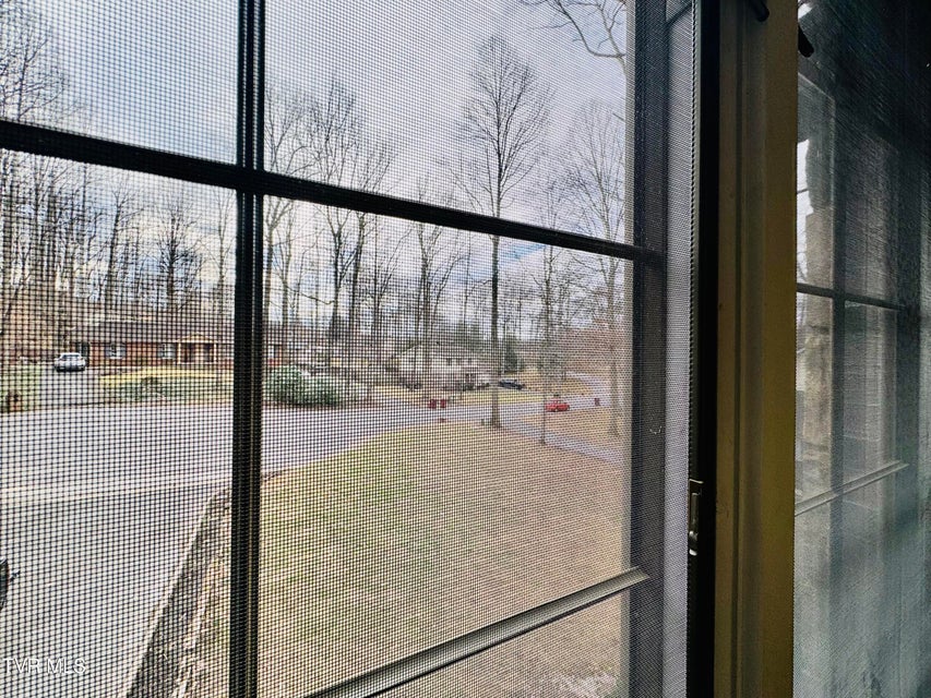 Photo #42: 5 Red Fern Circle