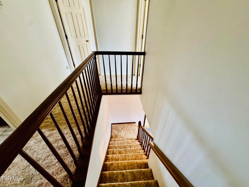 Photo #49: 5 Red Fern Circle