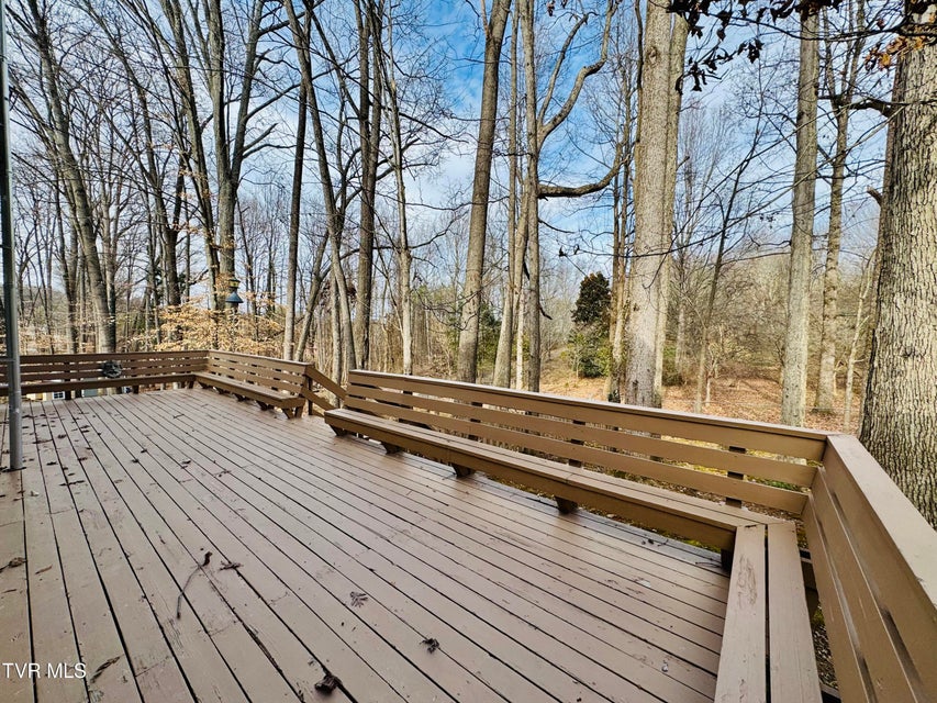 Photo #61: 5 Red Fern Circle