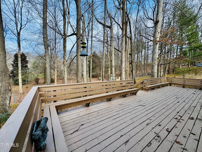 Photo #62: 5 Red Fern Circle