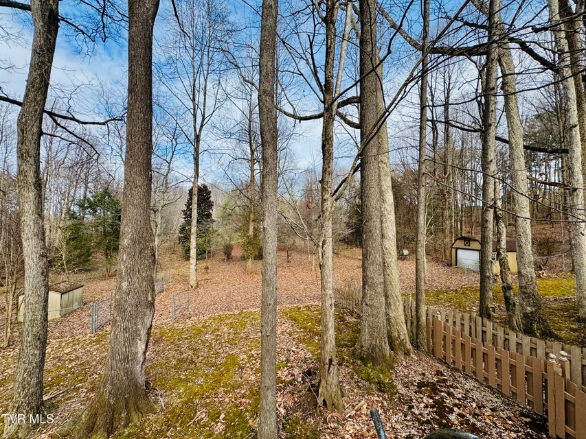 Photo #65: 5 Red Fern Circle