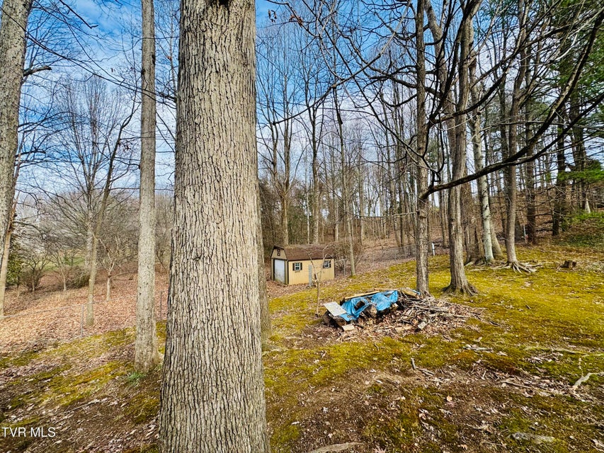 Photo #69: 5 Red Fern Circle