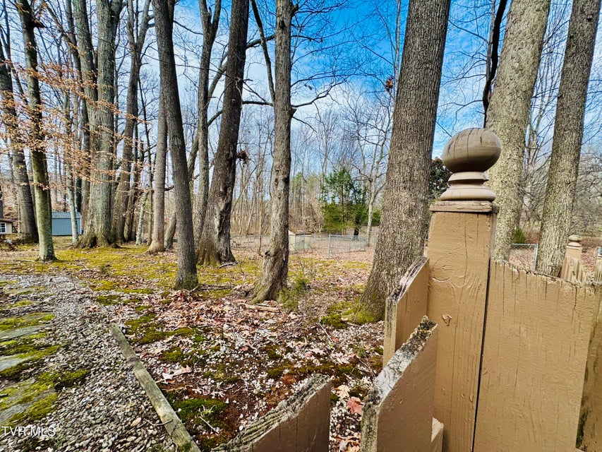 Photo #58: 5 Red Fern Circle