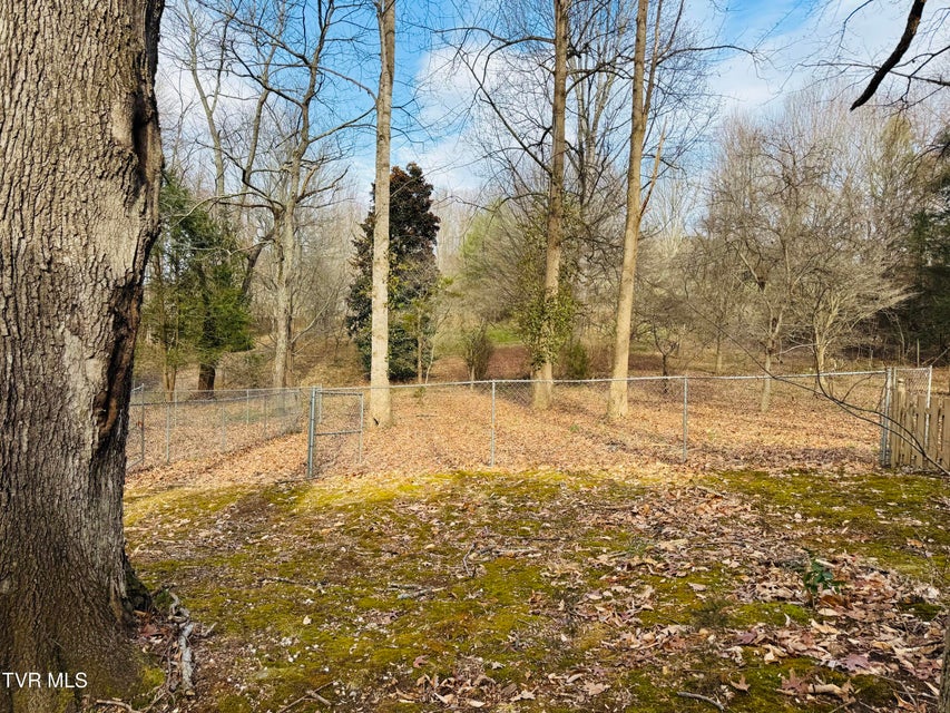 Photo #71: 5 Red Fern Circle