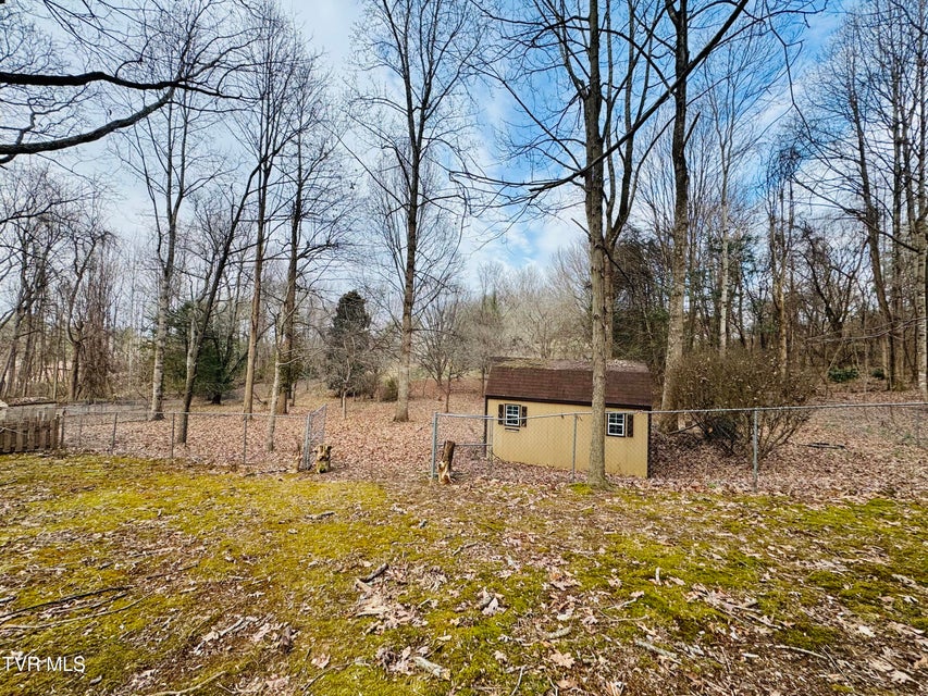 Photo #72: 5 Red Fern Circle